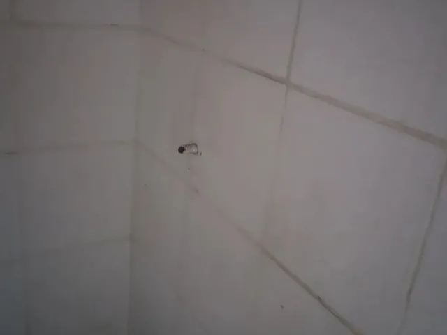 Imagem 13: Casa Duplex pra Vender Ou Trocar!