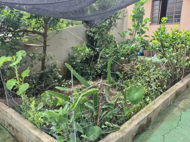 Imagem 11: Casas Padrão em Poços de Caldas
