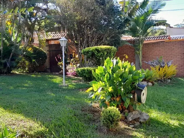 Imagem 4: Linda Chacrinha Caxambu