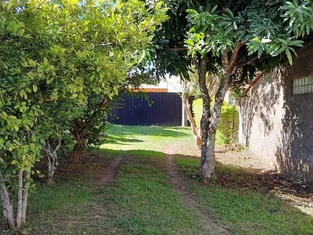 Imagem 5: Linda Chacrinha Caxambu