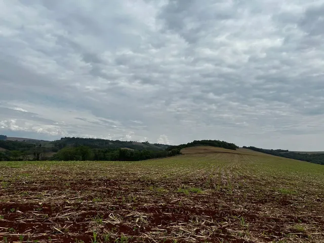 Imagem: Sítio de 8 Alqueires na Colônia Nova