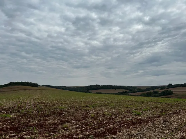 Imagem 9: Sítio de 8 Alqueires na Colônia Nova