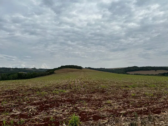 Imagem 3: Sítio de 8 Alqueires na Colônia Nova