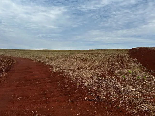 Imagem 4: Sítio de 8 Alqueires na Colônia Nova