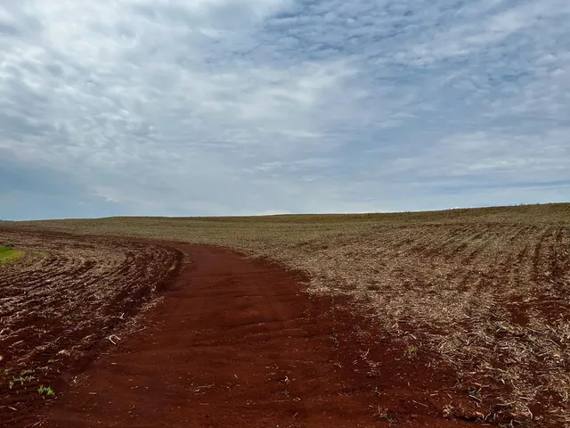 Imagem 6: Sítio de 8 Alqueires na Colônia Nova