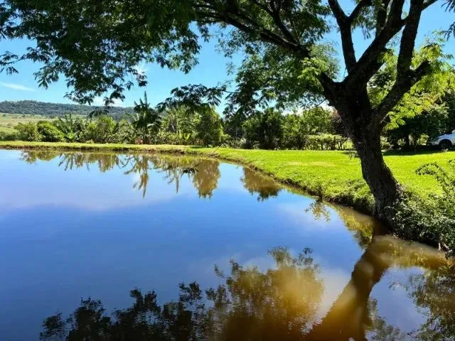 Imagem: Sitio santa Lúcia 7,13 Alq por R$ 1.250.000,00