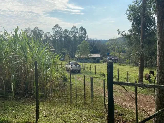 Imagem: Chácara Recanto Feliz em Lindoeste-Pr