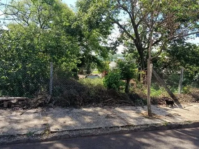 Imagem 3: 1 Terreno de 391M² e 2 Terrenos de 250M²