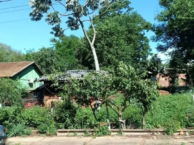 Imagem 4: 1 Terreno de 391M² e 2 Terrenos de 250M²