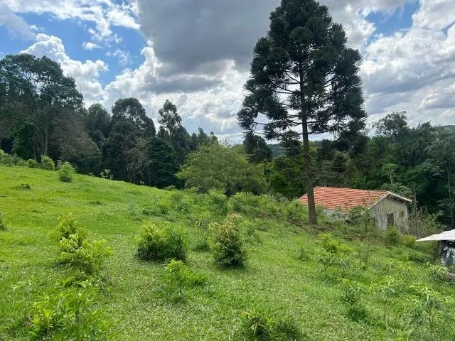 Imagem 3: Chácara de 7,4 Hectares em Ibema, Próximo a Cidade!