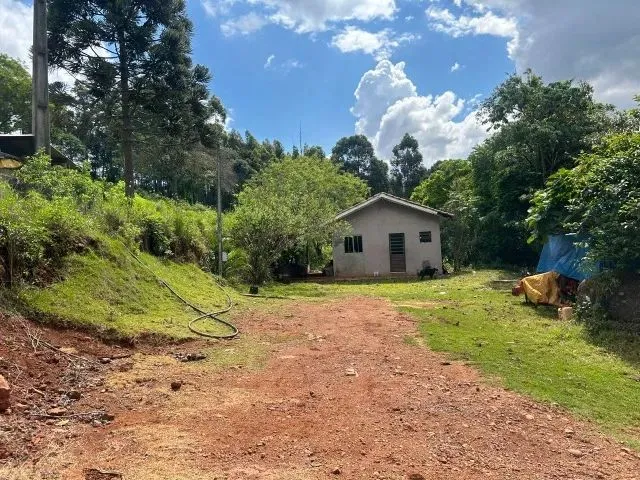 Imagem 11: Chácara de 7,4 Hectares em Ibema, Próximo a Cidade!