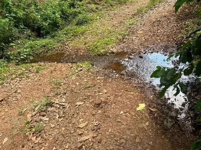 Imagem 14: Chácara de 7,4 Hectares em Ibema, Próximo a Cidade!