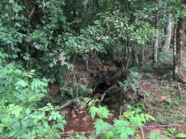 Imagem 2: Chácara de 7,4 Hectares em Ibema, Próximo a Cidade!