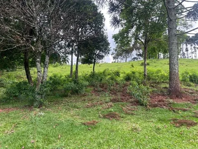 Imagem 5: Chácara de 7,4 Hectares em Ibema, Próximo a Cidade!