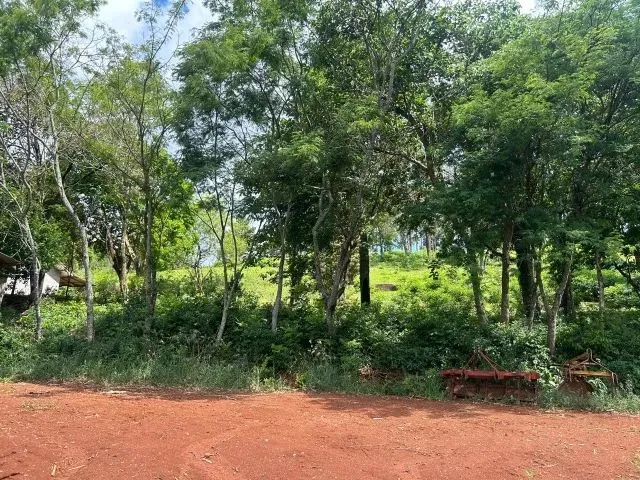Imagem 4: Chácara de 7,4 Hectares em Ibema, Próximo a Cidade!