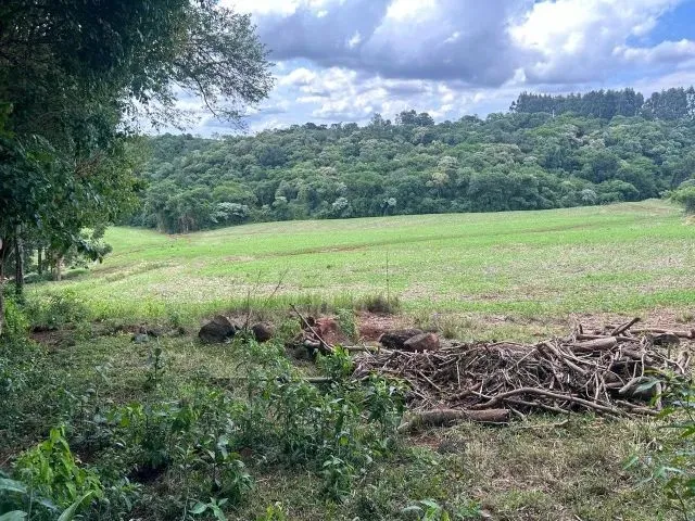 Imagem 7: Chácara de 7,4 Hectares em Ibema, Próximo a Cidade!