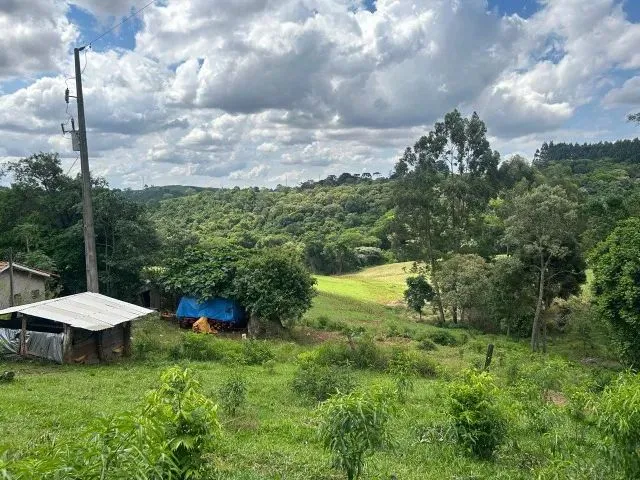 Imagem 12: Chácara de 7,4 Hectares em Ibema, Próximo a Cidade!
