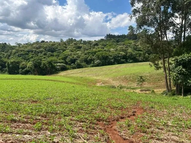 Imagem 9: Chácara de 7,4 Hectares em Ibema, Próximo a Cidade!