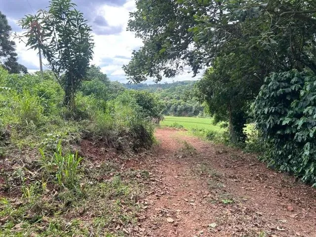Imagem 13: Chácara de 7,4 Hectares em Ibema, Próximo a Cidade!