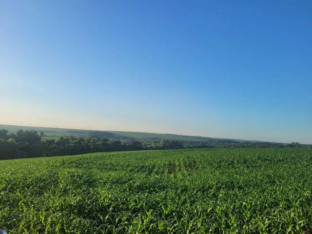 Imagem 1: Chacara, Área de Terra, Sítio em Cafelândia