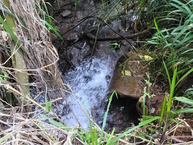 Imagem 4: Chacara, Área de Terra, Sítio em Cafelândia