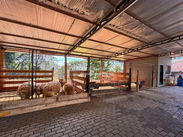Imagem 3: Chácara com 10.000 M2 com Ótima Estrutura Casa Principal Mobiliada