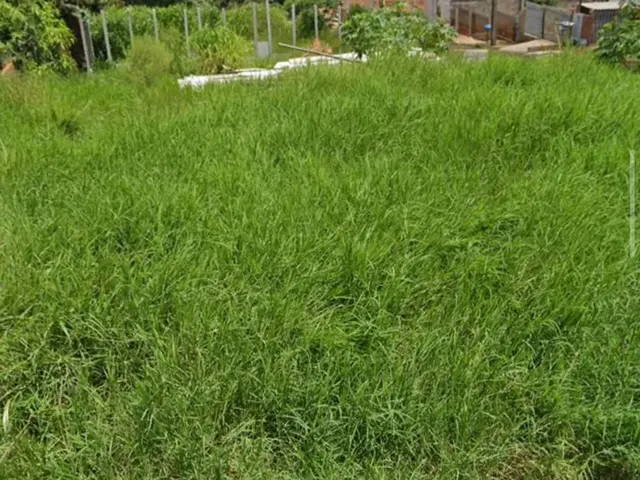Imagem: Terreno de Esquina no Veneza