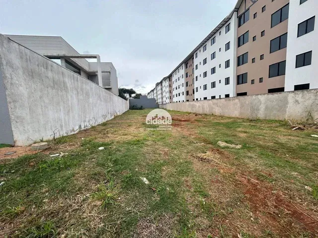 Imagem: Terreno À Venda, Pioneiros Catarinenses