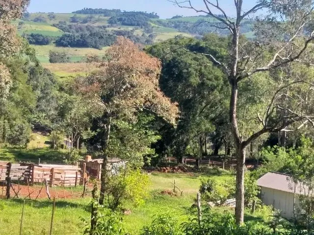 Imagem 3: Chácara em Lindoeste