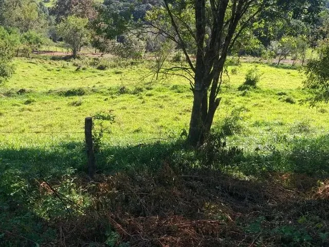 Imagem 4: Chácara em Lindoeste