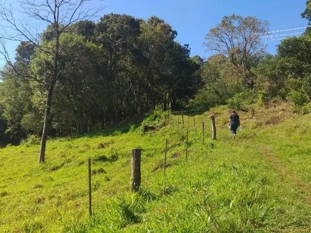 Imagem 5: Chácara em Lindoeste
