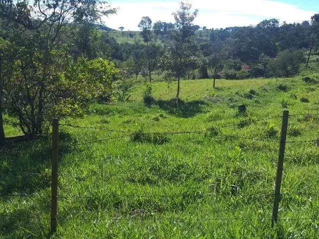 Imagem 2: Chácara em Lindoeste