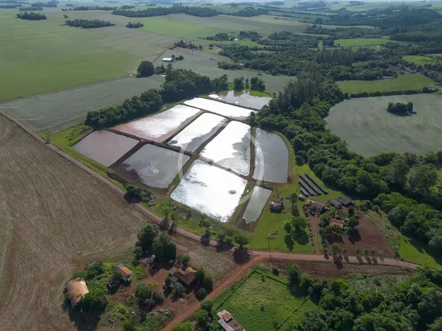 Imagem 1: Chácara Completa e Produtiva 7,2 Alqueires com 9 Açudes de Tilápias e Potencial Para