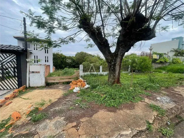 Imagem: Terreno Á Venda com 660M² no Bairro Região