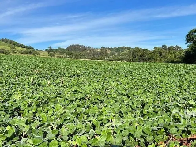 Imagem: Área À Venda, 580800 M² por R$ 3.500