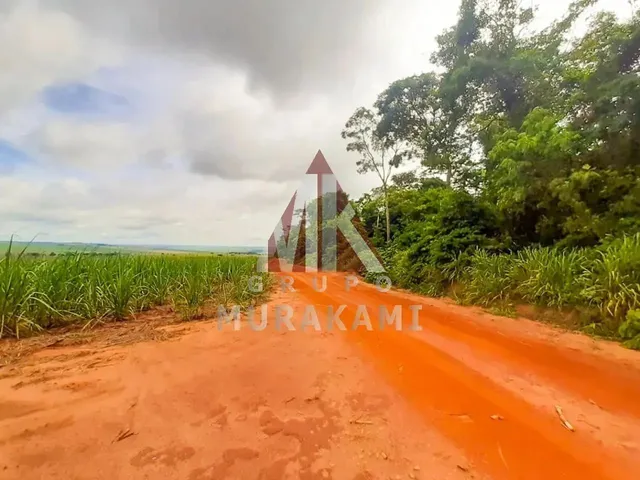 Imagem: Fazenda - Marechal Candido Rondon - Pr