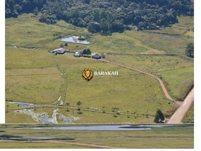 Imagem 2: Sítio à venda no bairro Lajeado Grande - São Francisco de Paula/RS