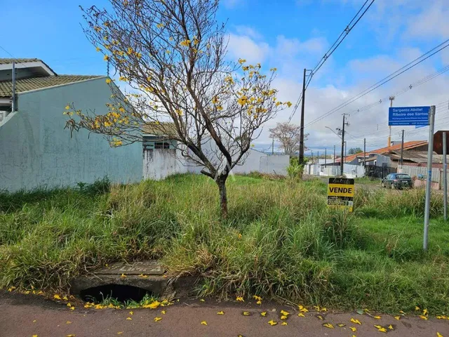Imagem: Terreno À Venda no Bairro santa Felicidade