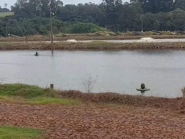 Imagem: Fazenda de Piscicultura