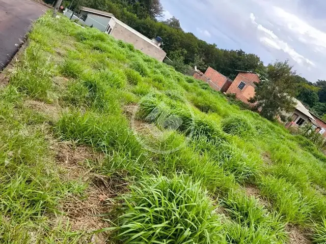 Imagem 2: Terreno em Lindoeste Codigo: 136144
