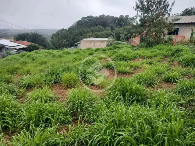 Imagem 3: Terreno em Lindoeste Codigo: 136144
