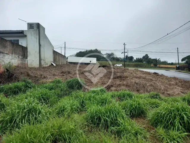 Imagem 4: Terreno em Lindoeste Codigo: 136144