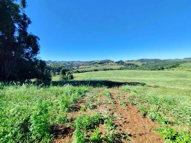 Imagem: Fazenda À Venda, 907500 M² por R$ 8.000.000