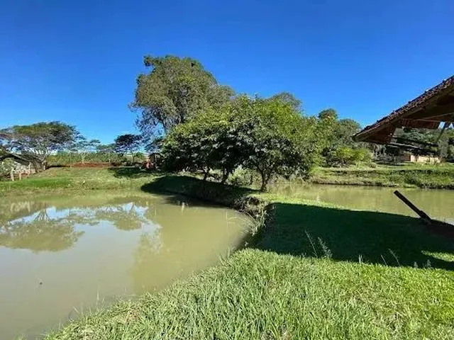 Imagem 12: Chácara com 2 Dormitórios À Venda, 12000 M² por R$ 1.600.000,00 - Rural - Cascavel/Pr