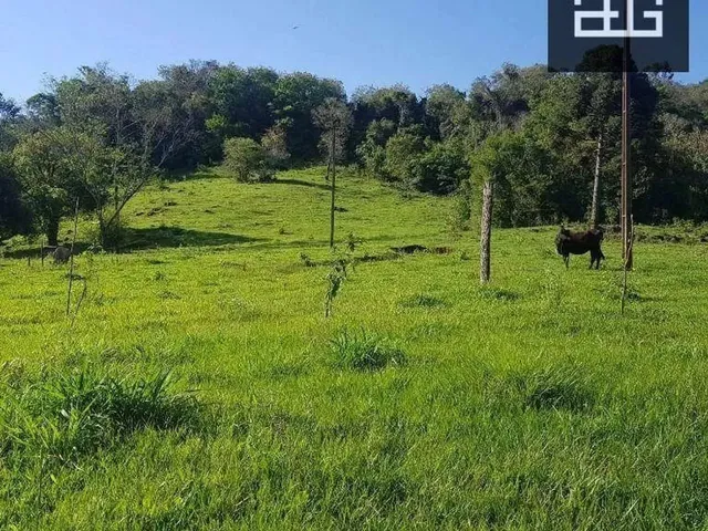 Imagem: Chácara À Venda em Boa Vista da Aparecida
