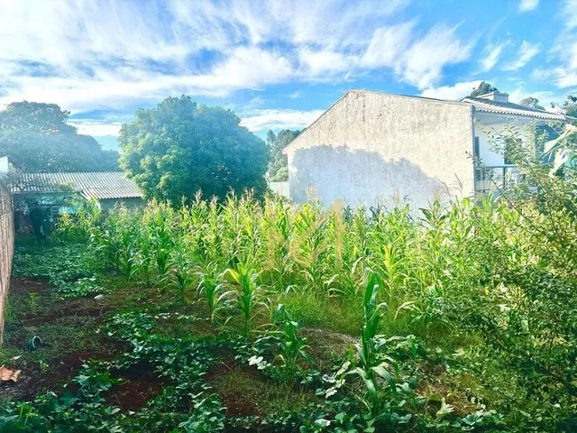 Imagem: Terreno À Venda, 360 M² por R$ 360.000,00