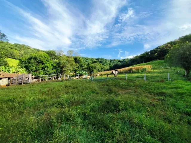 Imagem: Sítio À Venda, 242000 M² por R$ 1.300.000,00