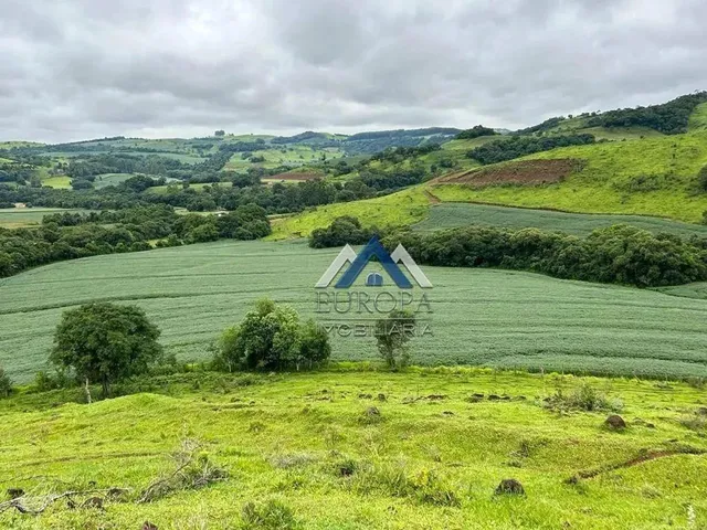 Imagem: Fazenda com 4 Dormitórios À Venda, 762300