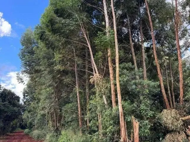 Imagem: Área À Venda, 21000 M² por R$ 1.500.000,00