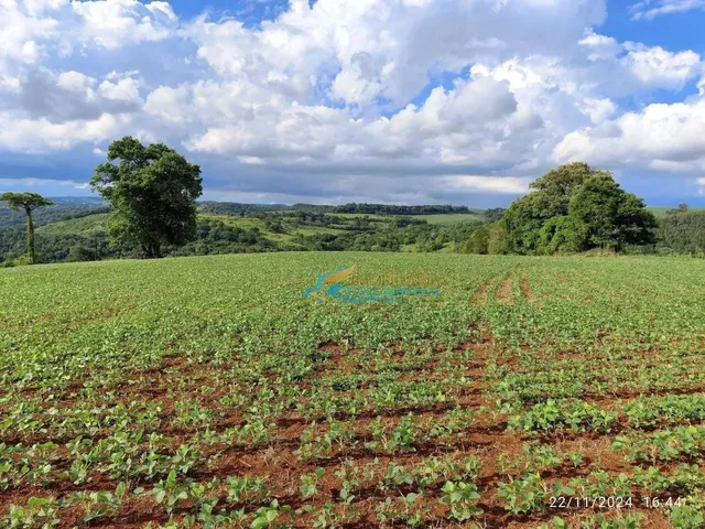 Imagem: Sítio À Venda, 9 Alqueires por R$ 1.400.000